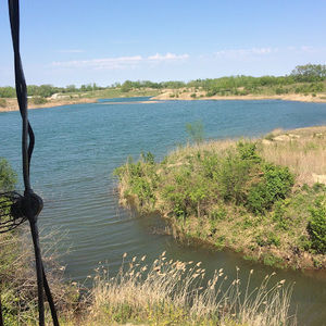 Meet your Posher, Tommy